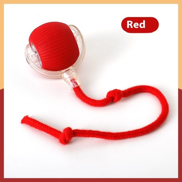 3117fdae-39bb-477f-a1ac-c4009e983e43_trans.jpeg Interactive Cat Toy Ball Super Drive Cat Rolling Ball