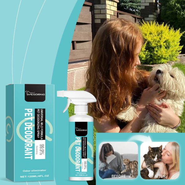 3cf0084d-5789-4dc9-ba06-656594e24a65-1.jpg Pet Deodorant Spray, Gentle Pet Odor Eliminator For Dogs & Cats, Instantly Remove Bad Smell For Pet Bedding, Carpet & Home Surfaces, 120ML