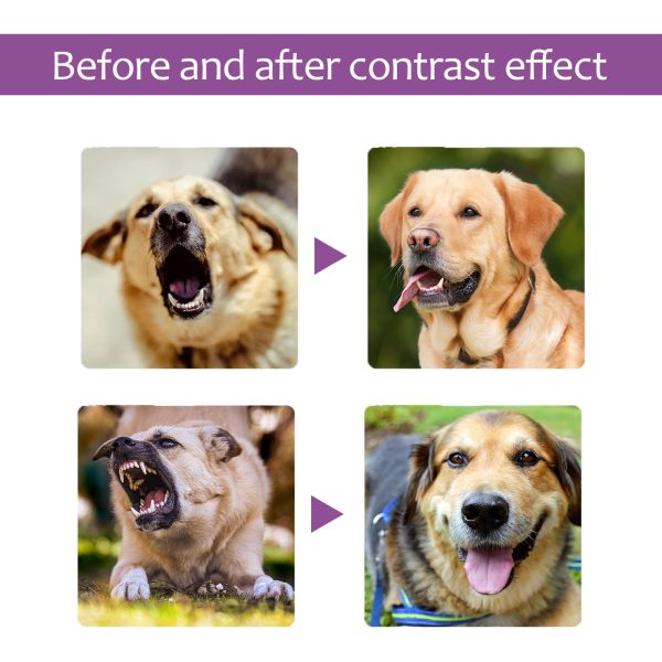 5c5f7379-851e-4e67-9e60-77a81fe27671.jpg Pet Calming Spray For Dogs, Reduce Barking & Anxious Behavior, Lavender & Chamomile Soothing Spray, 50ml