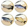 713016876095.jpg Simulation Electric Funny Cat Simulation Fish