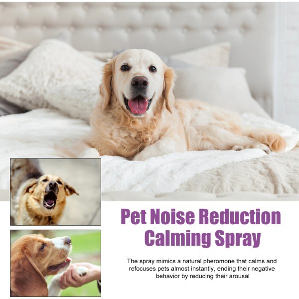 a426de6e-b0a3-4f4d-8950-e4b9bbf9c662.jpg Pet Calming Spray For Dogs, Reduce Barking & Anxious Behavior, Lavender & Chamomile Soothing Spray, 50ml