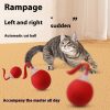 b90bb612-a2ad-41b6-b9a2-21cd4d497e24_trans.jpeg Interactive Cat Toy Ball Super Drive Cat Rolling Ball