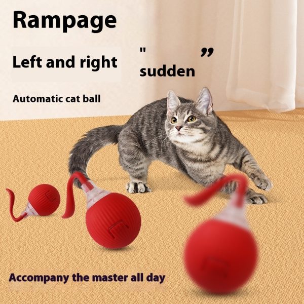 b90bb612-a2ad-41b6-b9a2-21cd4d497e24_trans.jpeg Interactive Cat Toy Ball Super Drive Cat Rolling Ball
