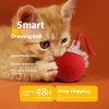 dc94f86d-2e74-45a4-92da-fcdbaee84d7f_trans.jpeg Interactive Cat Toy Ball Super Drive Cat Rolling Ball