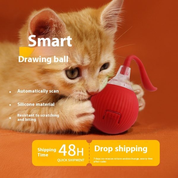 dc94f86d-2e74-45a4-92da-fcdbaee84d7f_trans.jpeg Interactive Cat Toy Ball Super Drive Cat Rolling Ball
