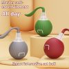e378c136-1046-4996-8e9e-a1939923ee47_trans.jpeg Interactive Cat Toy Ball Super Drive Cat Rolling Ball