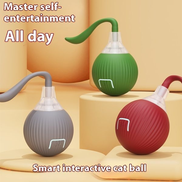 e378c136-1046-4996-8e9e-a1939923ee47_trans.jpeg Interactive Cat Toy Ball Super Drive Cat Rolling Ball