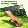 f88867ca-0b41-49d5-a918-3a222312565a.jpg Wooden Dog Agility Seesaw for Training and Exercise, Weather Resistant, 83" L x 16" W x 14" H, Orange