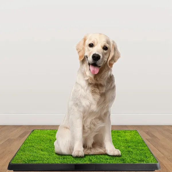 Dog Toilet Indoor Puppy Training Pad, Dog Potty Pet Training Grass Mat, Removable Waste Tray For Easier Clean Up, Artificial Turf, 25'X20'