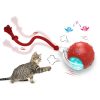 fb4026cc-ce45-4deb-a099-eb5793183e1a.jpg Interactive Cat Toy Ball Super Drive Cat Rolling Ball