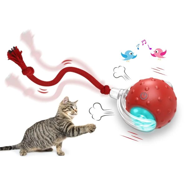 fb4026cc-ce45-4deb-a099-eb5793183e1a.jpg Interactive Cat Toy Ball Super Drive Cat Rolling Ball